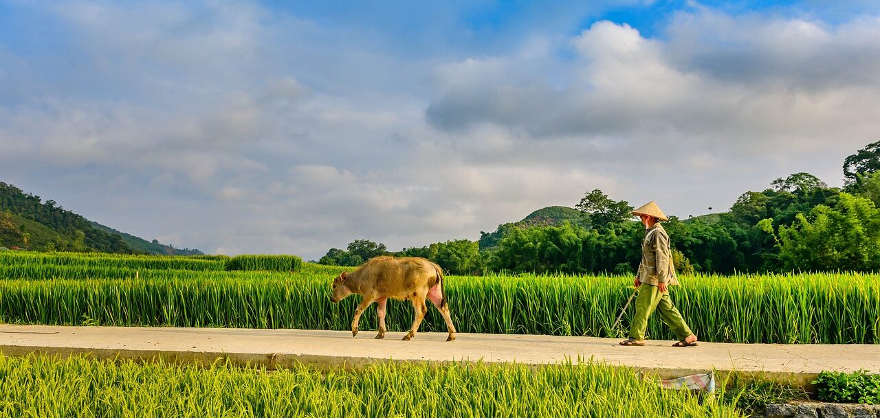 À la découverte du vietnam et du laos les agences de voyage qui vous facilitent la vie